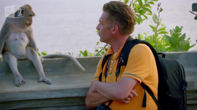 Monkeys stealing iPhones from tourists in exchange for Food