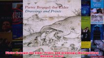 Pieter Bruegel the Elder Prints and Drawings Metropolitan Museum of Art