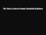 PDF Download The Turks & Caicos Islands: Beautiful by Nature Download Online
