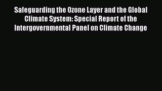 PDF Download Safeguarding the Ozone Layer and the Global Climate System: Special Report of