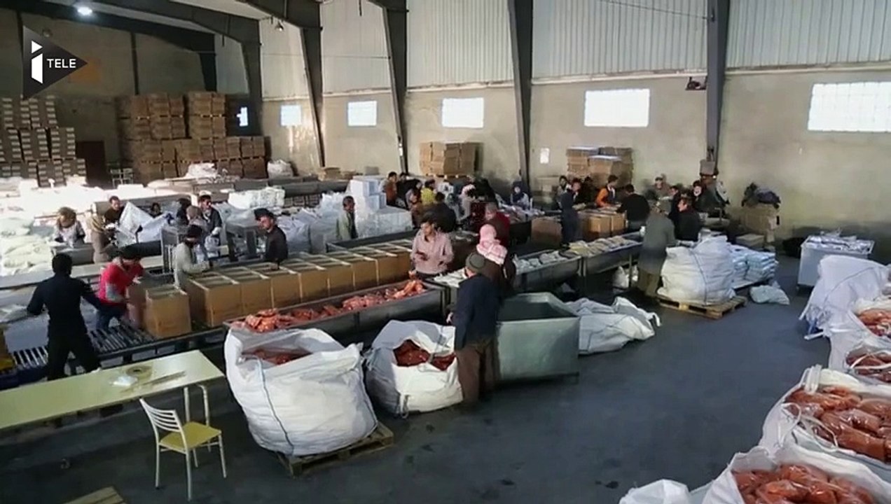 En Syrie, des convois humanitaires sont arrivés dans la ville assiégée de Madaya