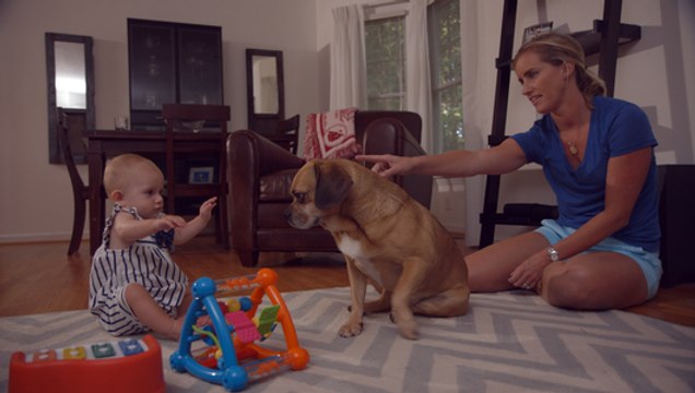 สารคดีท่องโลกกว้าง 9 ธันวาคม 2558 เพื่อนรักแสนรู้ ตอน รู้นิสัยเพื่อนสี่ขา