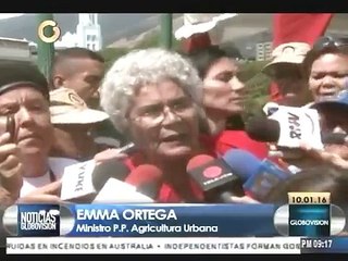 Ministra de Agricultura pidió sembrar en los balcones para batallar contra la escasez