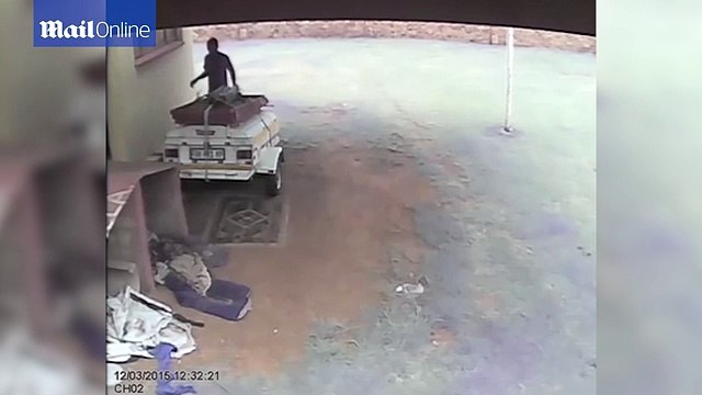 Burglar gets a nasty surprise as guard dog fends him off