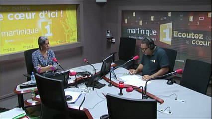 Décryptage 11 janvier 2016 : Karine Mousseau