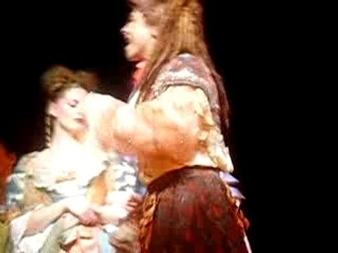 le roi soleil a qui la faute toulouse