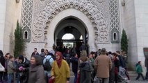 Succès des journées portes ouvertes des mosquée de France