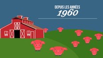 Ces chiffres vont vous faire prendre conscience de l'impact néfaste de notre surconsommation de viande - DES CHIFFRES ET LE MONDE