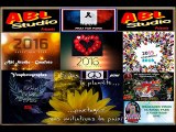 Nos bons Vœux - LES CONCERTS & FESTIVALS 2015-2016
