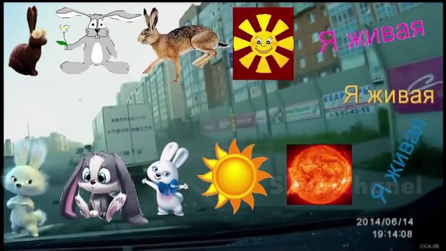 Самые Лучшие Видео #Приколы из России и не только Декабрь 2014