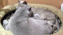yaroslavcncdan@mail.ru
