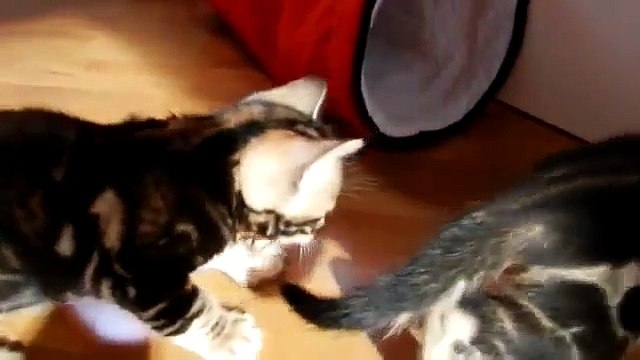 gennadiymoiu8s2@mail.ru