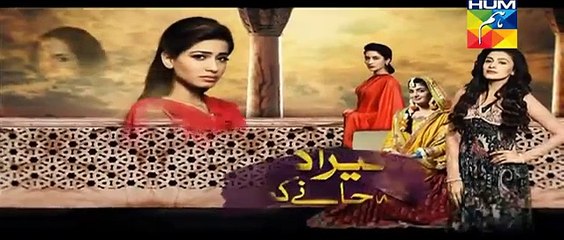 Mera Dard Na Jany Koi Episode 34 promo on Hum TV