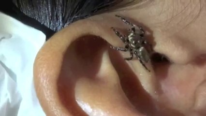 You Won't Believe What Crawls Out Of This Man's Ear For a Drink