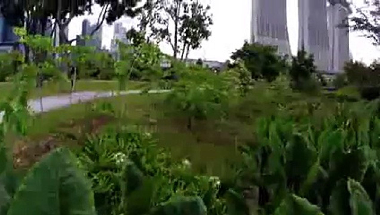 Flight by the Bay (DJI Phantom, GoPro Hero 3 , Gardens by the Bay, Singapore)