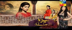 Mera Dard Na Jany Koi Episode 34 Promo HUM TV Drama 9 Dec 2015