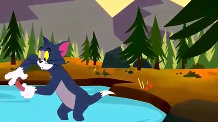Tom Ve Jerry  HD 2015