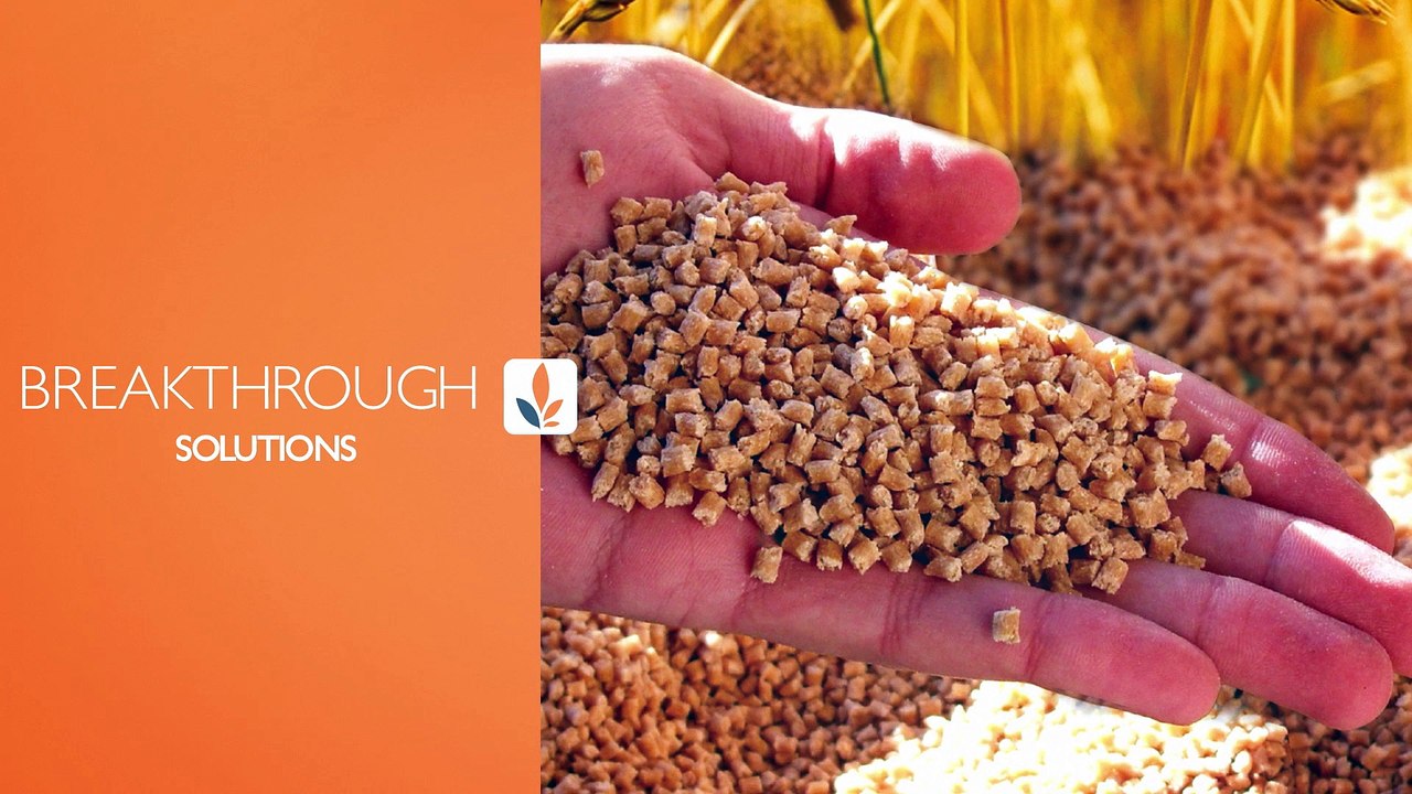 Futuramat : l'avenir du bioplastique