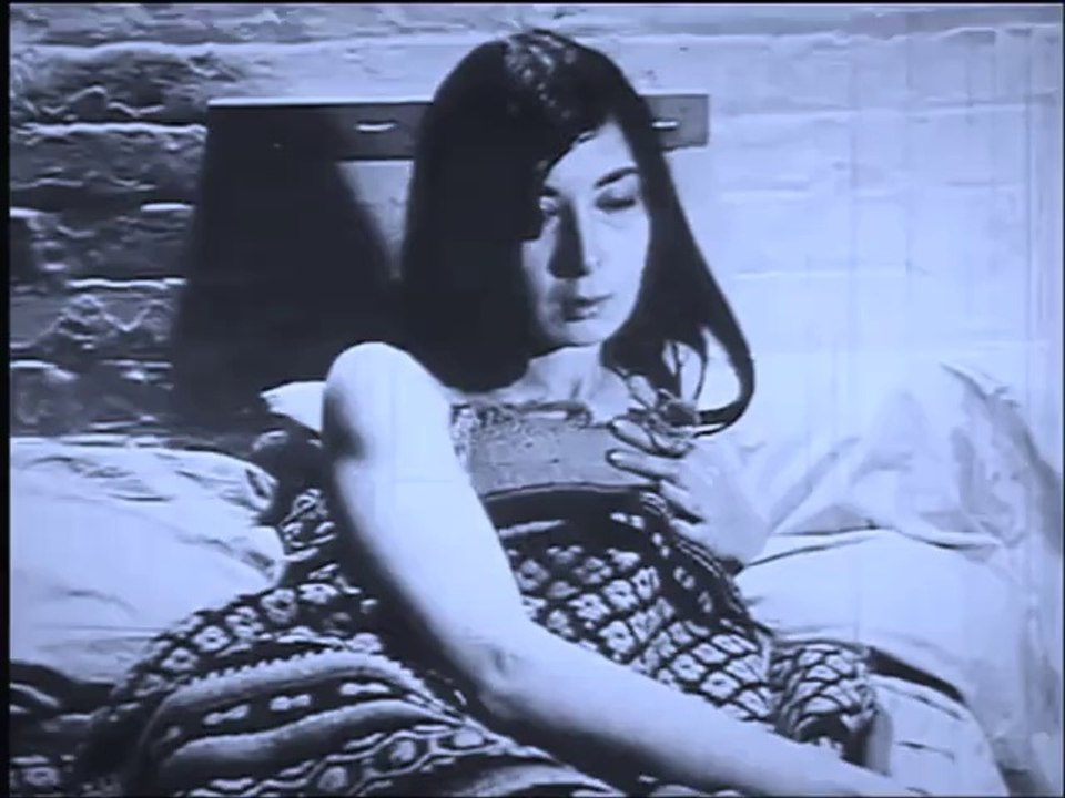 Nature & Organisation - A Dozen Winters Of Loneliness