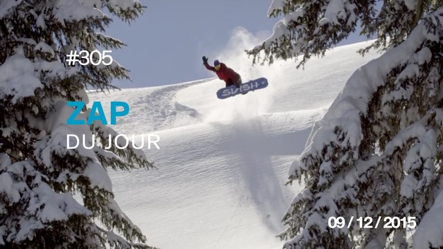 ZAP DU JOUR #305 : Journée de merde / Un singe hallucine devant un tour de magie / Aidez-moi ! /