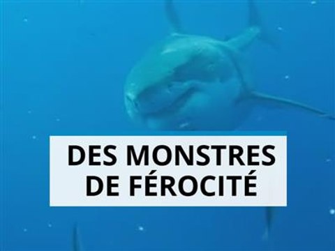 Top 2015 : les animaux les plus terrifiants