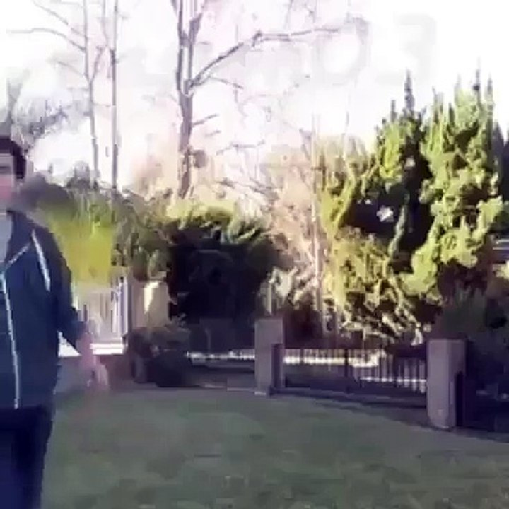 amazing tricks must watch.