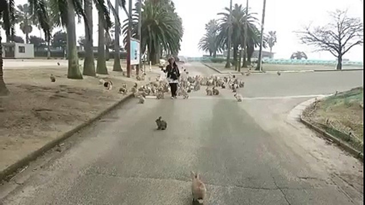 amazing video must watch.