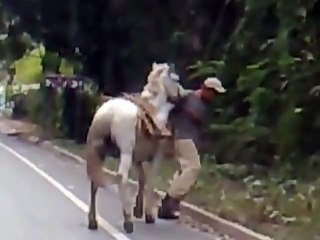 Drunk man trying to climb on the horse