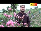 Aqa Me Vi Wekhan Noori Noori Jalyan ||| M Usman Qadri |||