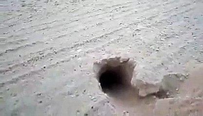 VID-20151027-WA0031_x264