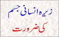 Zeera Insani Jism Ki Zaroorat