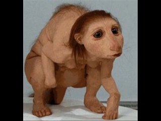 Allah ka azab:New Allah Ka Azab:Latest Allah Ka Azab:Allah Ki Qudrat:Allah Ki Shan.