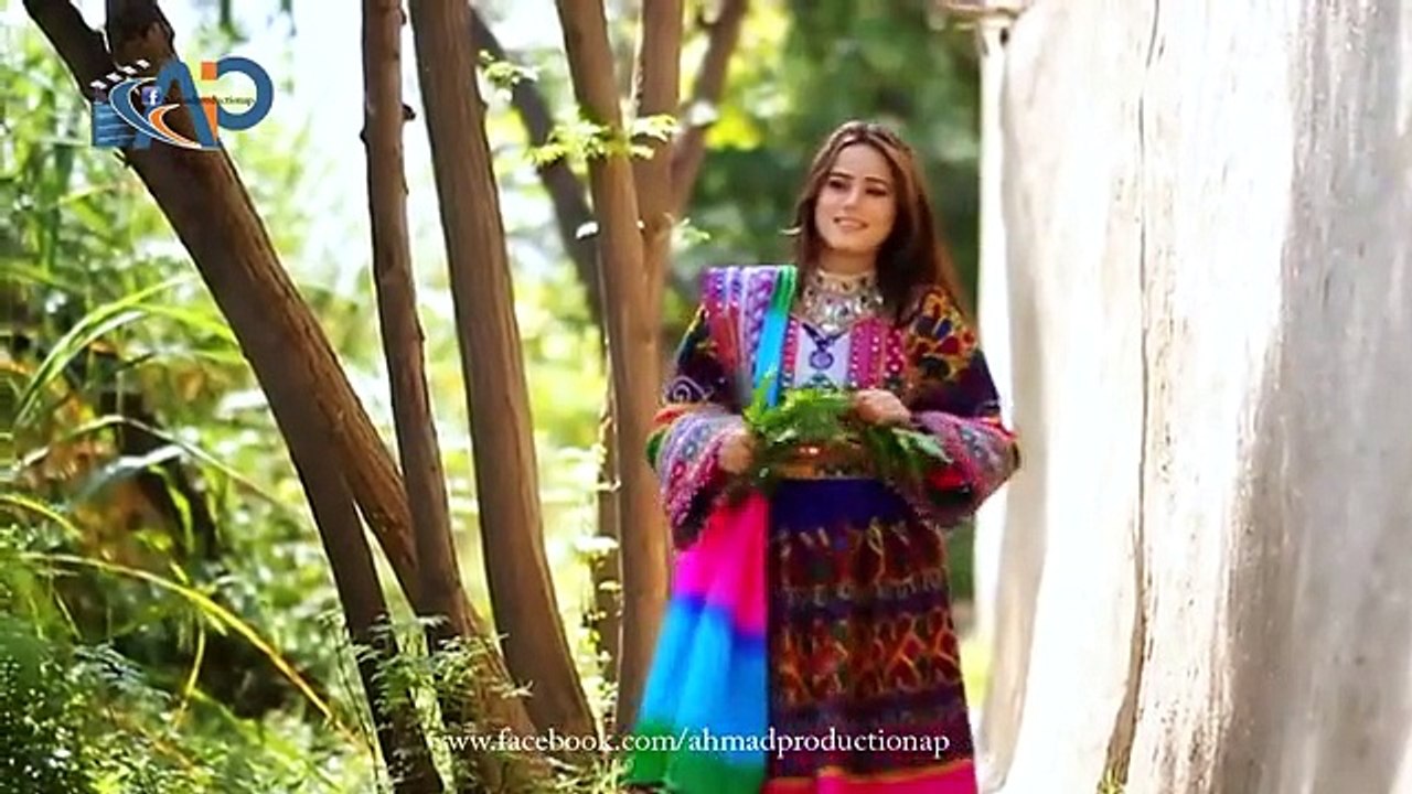 Zaryali Samadi Song