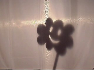 Teatr Cieni pt.  "Ucieczka smoków"