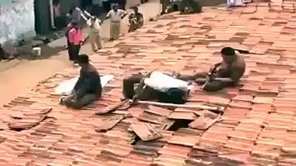 tiger attacked the village