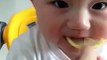 very funny baby tasted lemon very funny