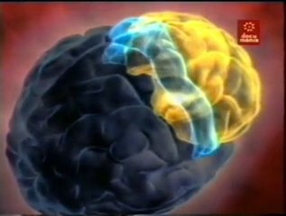 Mentiras: Lobulo frontal y sonrisa falsa