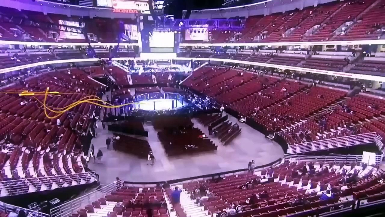 Reporter desafia Fabricio Werdum e desaba apos levar chute na coxa