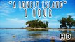 A LONELY ISLAND | Bright Blue Sky and Rippling Ocean Water | 1 HOUR 2015 (HD)