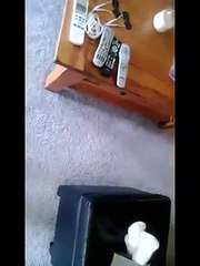 emotional reunion between brother and sister