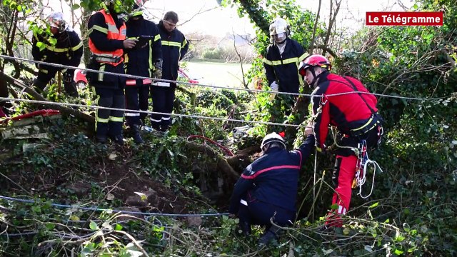 Guipavas (29). Sauvetage d'un chien à Kerveuleugant par les pompiers du SDIS et du GRIMP
