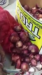 زايد مع التونسي ..تفرج وين مهرب المخدرات في وسط سي البصل