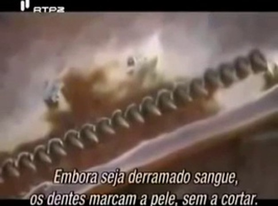 Amazon Tribe || Xingu People || Best History Documentary || Yawalapiti Life || Best Documentaries 2015