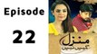 Manzil Kahin Nahi Episode 22 Full in High Quality on Ary Zindagi