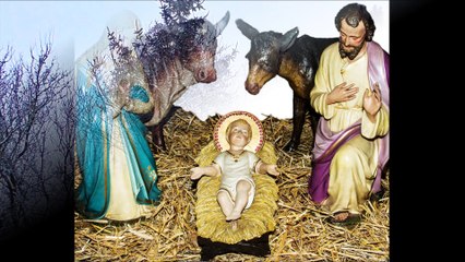 We Wish You Merry Christmas - Jungle Punks