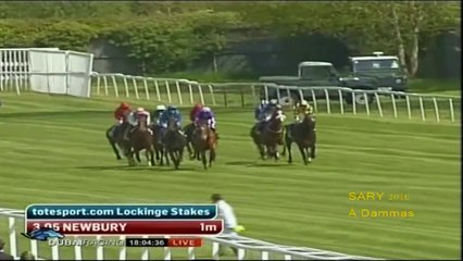 Paco Boy - 2010 Lockinge Stakes G1