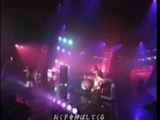Tommy Heavenly6 Lollipop Candy  live