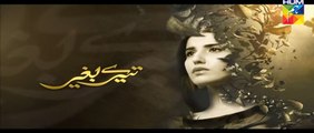 Tere Baghair Episode 2 Full HUM TV Drama 9 Dec 2015