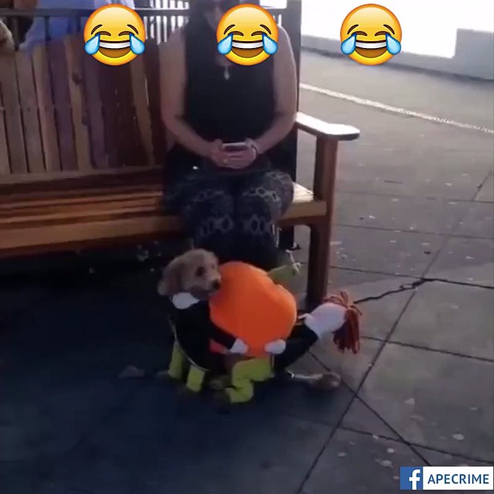 What!!!2 Funny
