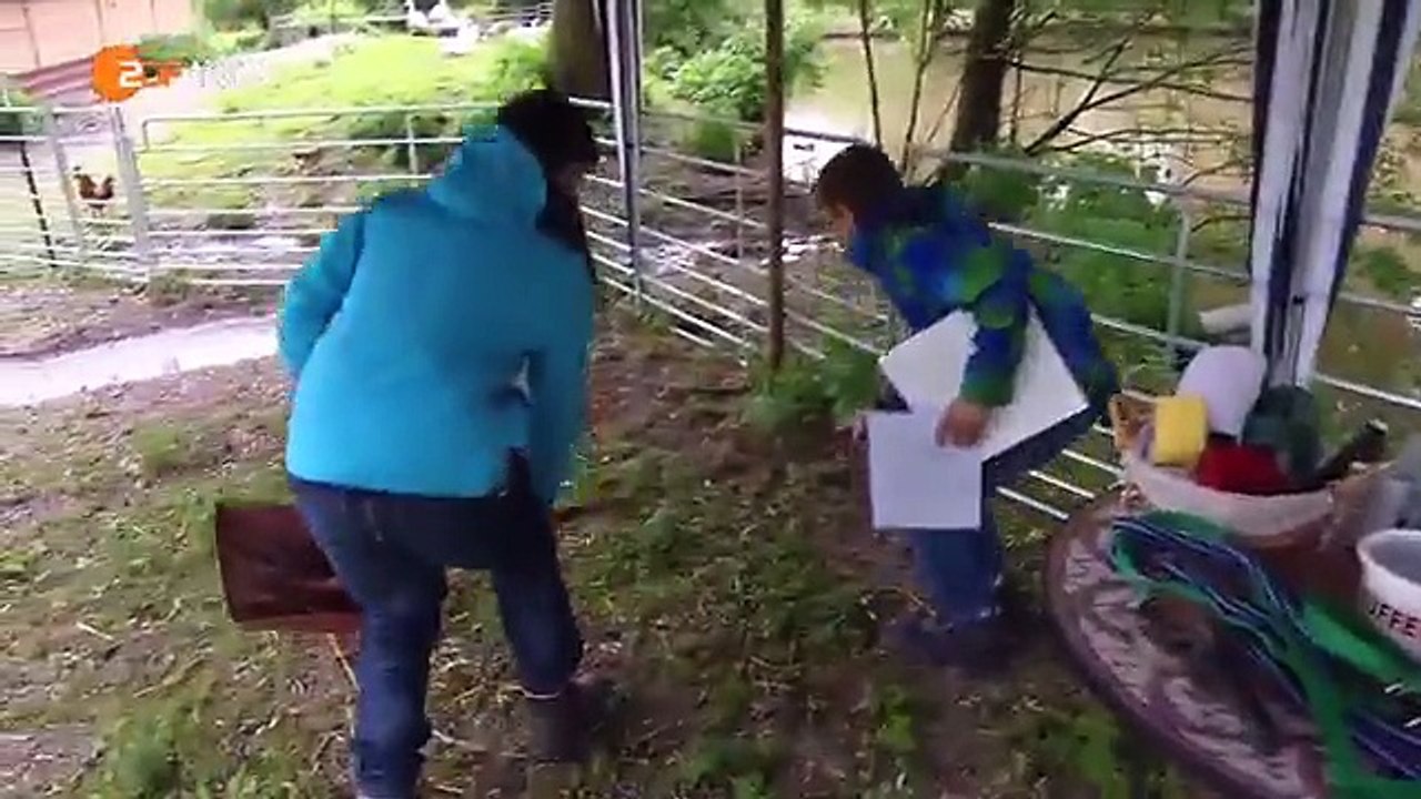 Das Haustiercamp - Folge 3, Staffel 2